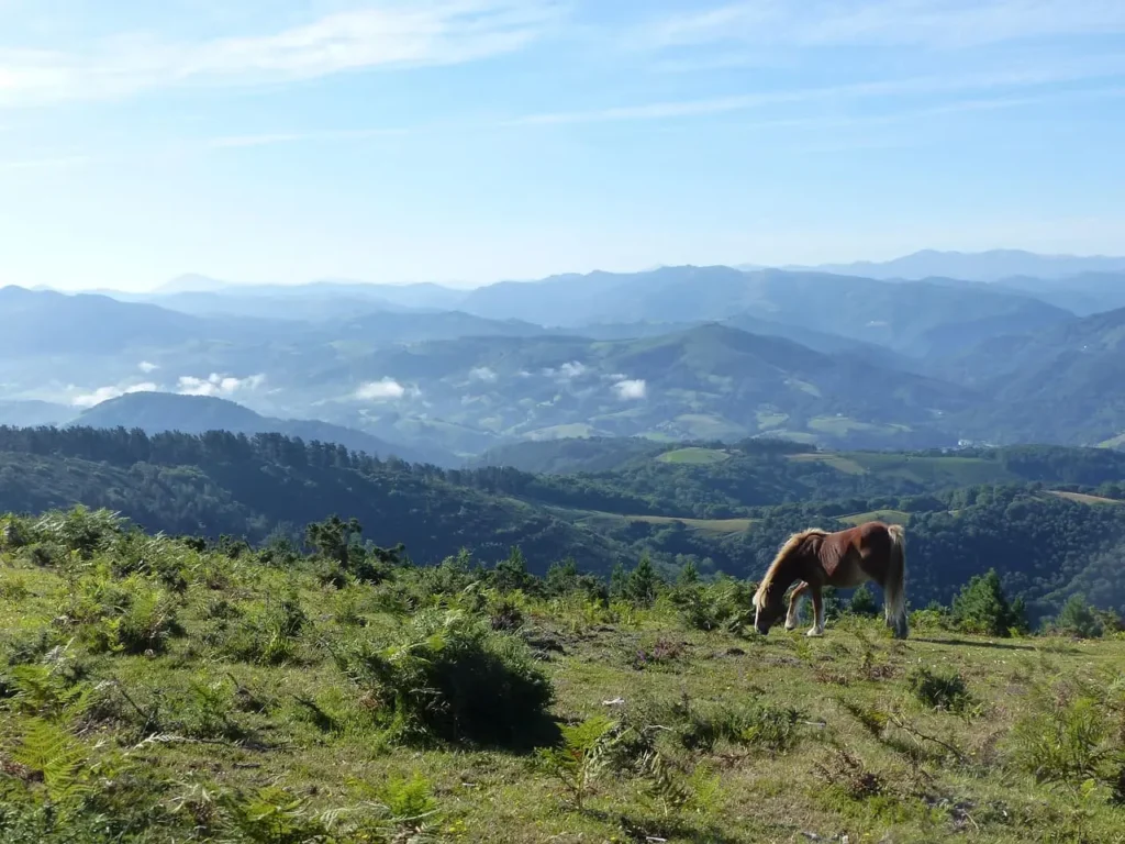Vu sur les terres du Pays basque