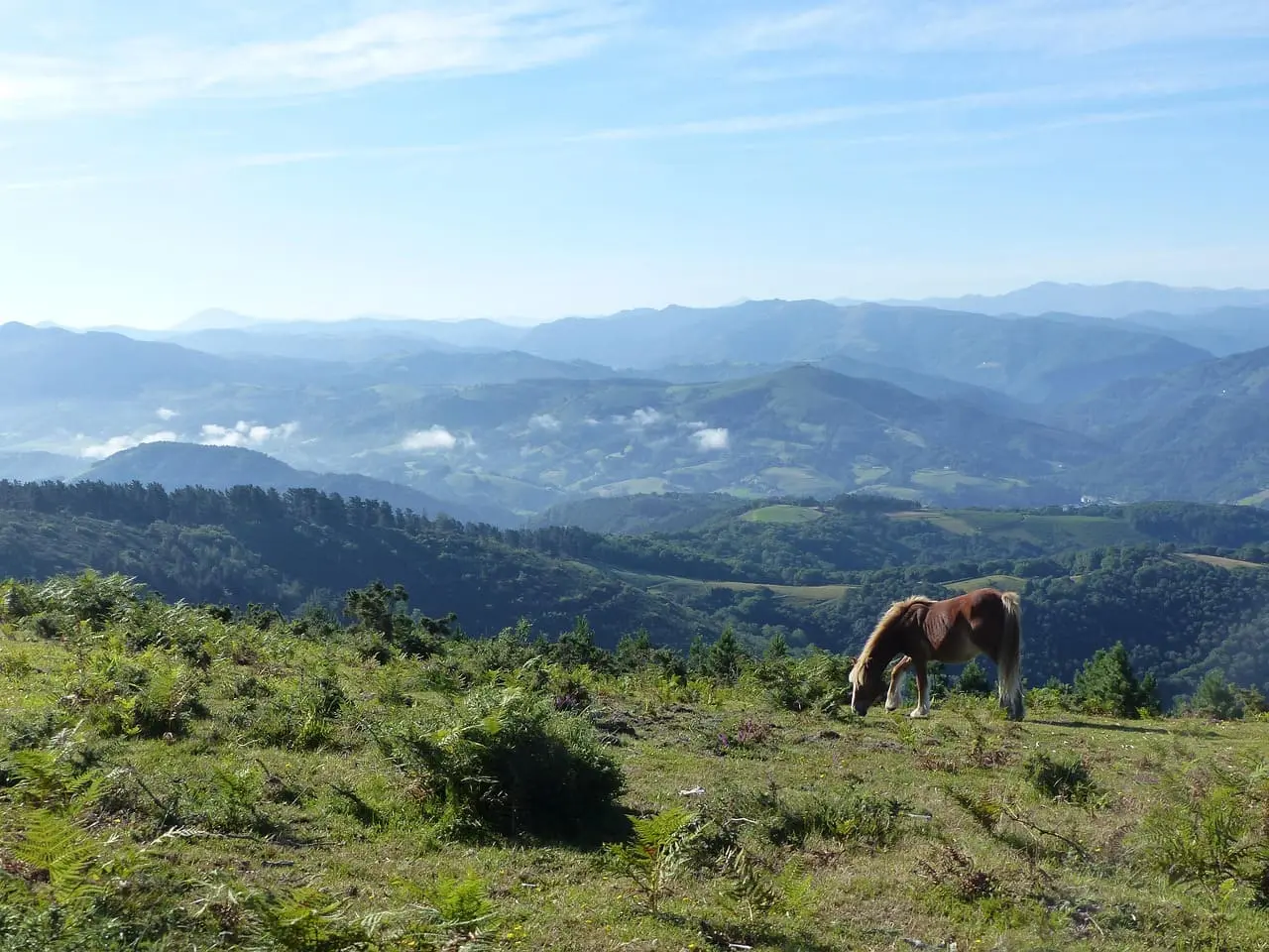 Merkatu blog basque : le guide essentiel pour découvrir la culture et l’économie du Pays basque