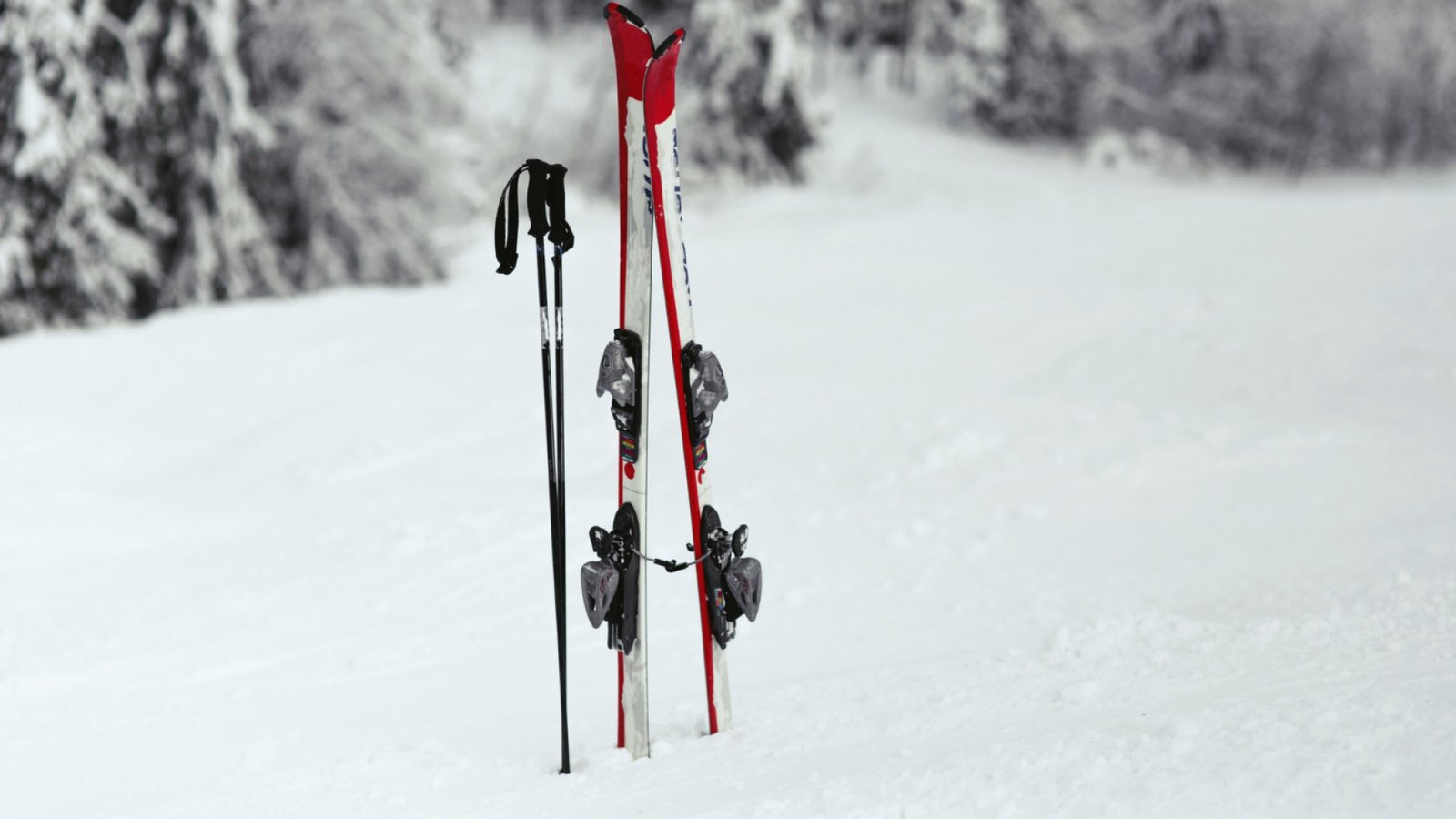 skis et bâtons plantées dans la neige