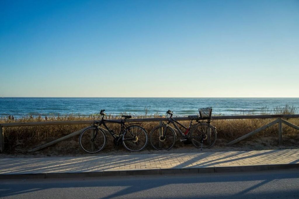 Visitez l'île de Ré à vélo