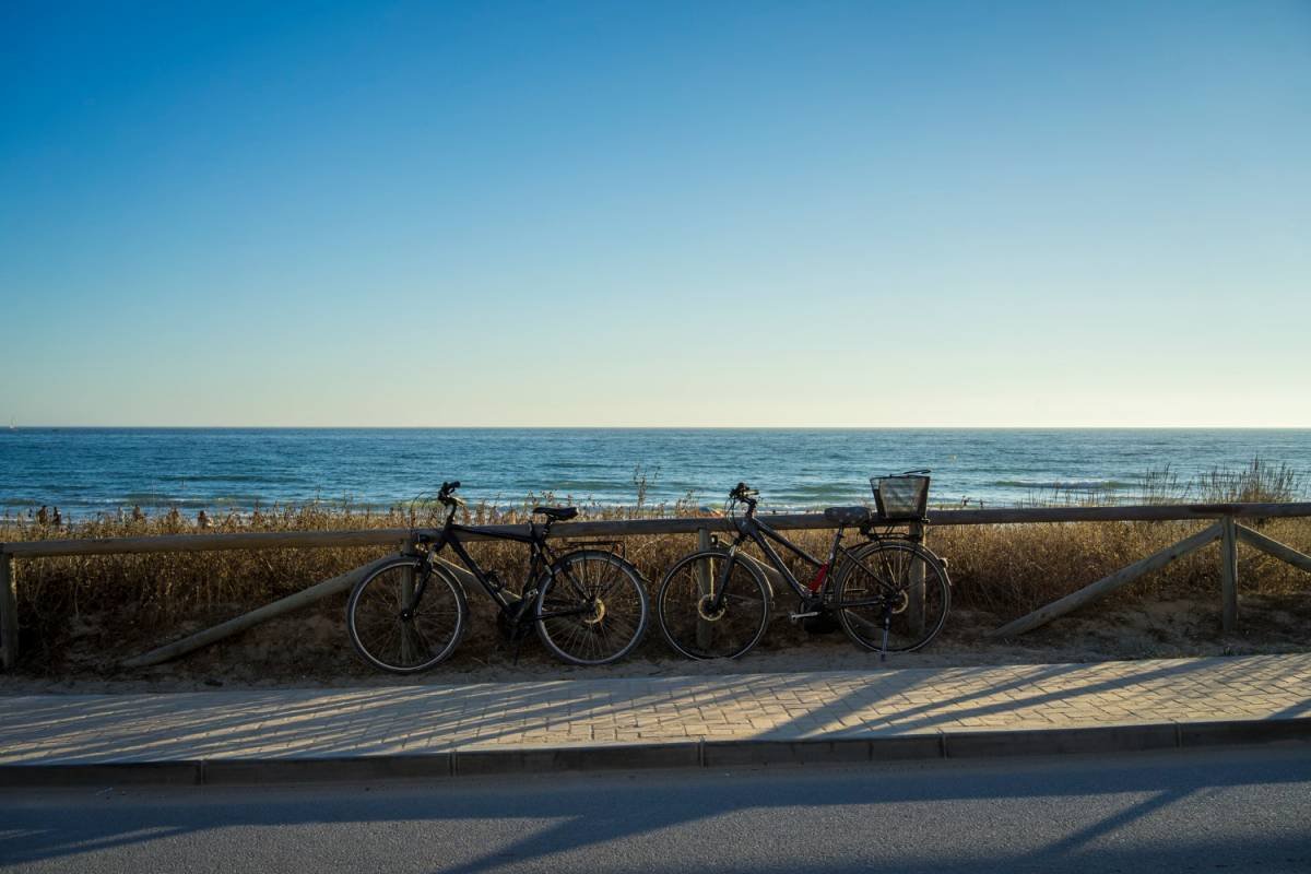 Visitez l'île de Ré à vélo
